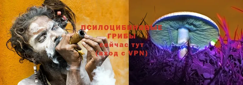 гидра как войти  Городовиковск  Галлюциногенные грибы Magic Shrooms 